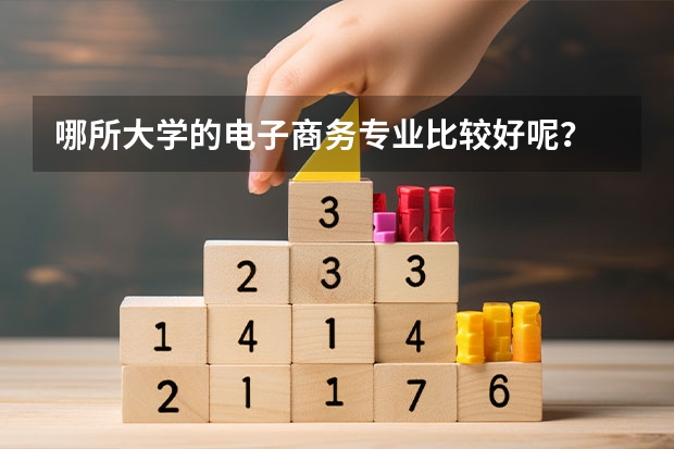 哪所大学的电子商务专业比较好呢？